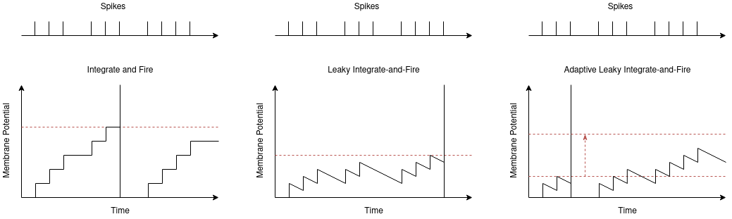 Neuron Models