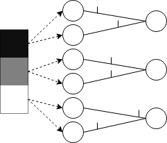 Population Coding