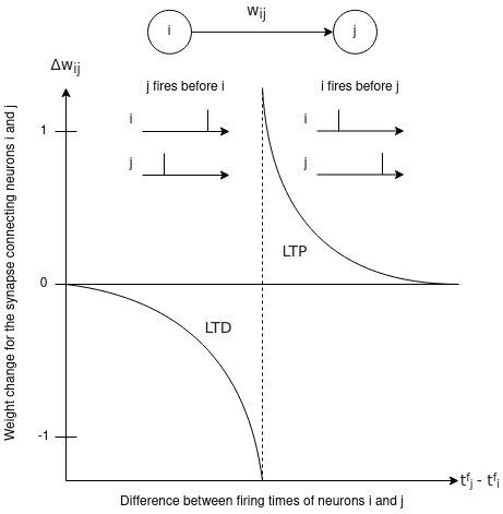 Spike-Timing Dependent Plasticity